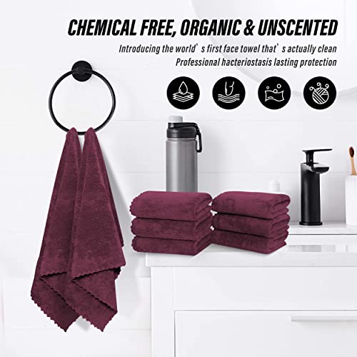 MOONQUEEN 18 Pack Premium Hand Towels - Quick Drying - Microfiber Coral Velvet Highly Absorbent Towels - Multipurpose Use as Hotel, Bathroom, Shower, Spa, Hand Towel 16 x 28 inches (Plum)
