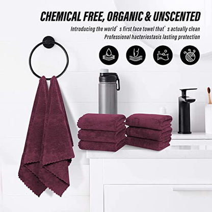 MOONQUEEN 18 Pack Premium Hand Towels - Quick Drying - Microfiber Coral Velvet Highly Absorbent Towels - Multipurpose Use as Hotel, Bathroom, Shower, Spa, Hand Towel 16 x 28 inches (Plum)