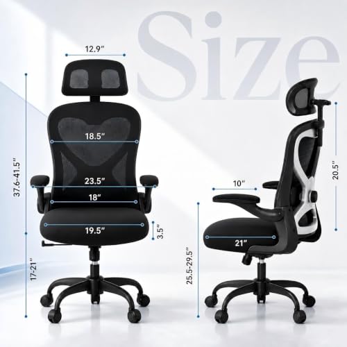 Ergonomic Office Chair with 3.5-Inch Cushion for Long Hours, Black/Satin Silver