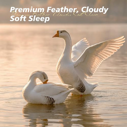 King Size Goose Feather Down Pillows Set of 2 - Hotel Collection, White 20x36