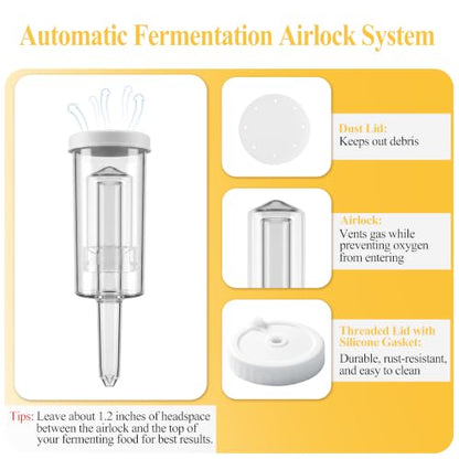 32oz Wide Mouth Mason Jar Fermentation Kit with Airlock & Glass Weights