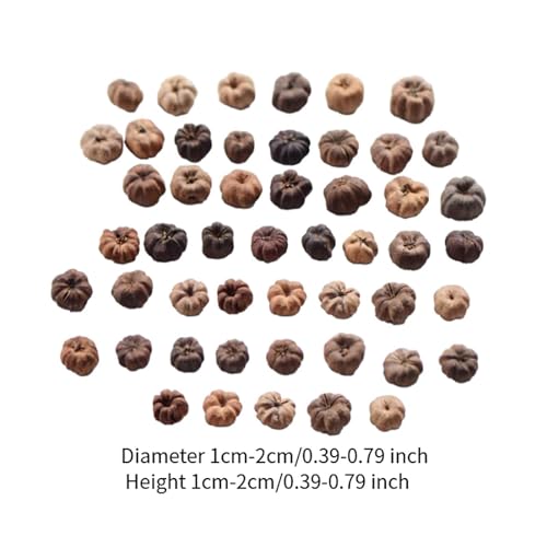 Mini Dried Pumpkin Decor for Floral Wreaths and Crafts, 50 Pack