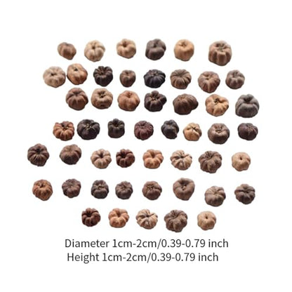 Mini Dried Pumpkin Decor for Floral Wreaths and Crafts, 50 Pack