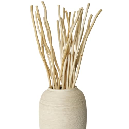 Natural Dried Willow Branches for Vases - 20 Stems, Rustic Home Decor