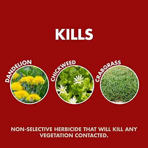 Spectracide Weed & Grass Killer, Use On Driveways, Walkways and Around Trees and Flower Beds, 1 Gallon (RTU Spray)