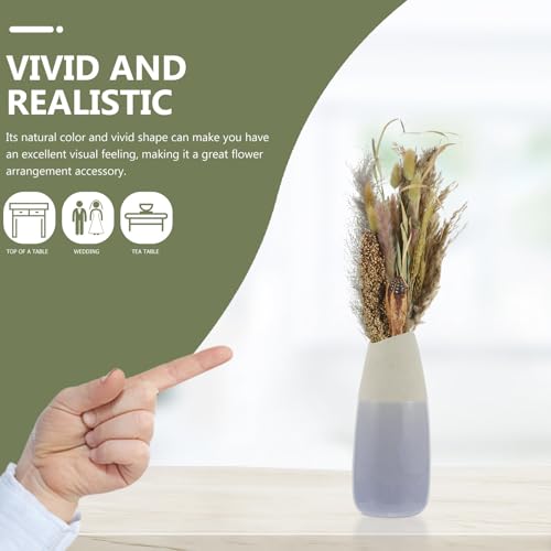 Dried Pampas Grass Decor Bundle for Living Room & Events