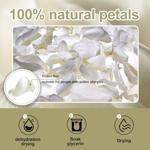 White Dried Rose Petals for Weddings - Biodegradable & Natural - 4 Pack (100g each) - Romantic Table Decor & Flower Girl