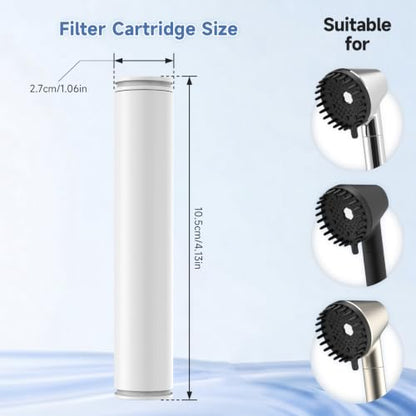 Filtered Shower Head Combo with Replacement Cartridges - Silver
