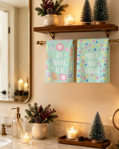 Christmas Hand Towels 2 Pack - Mint Green 18x26 Soft Absorbent Kitchen & Bathroom Towels