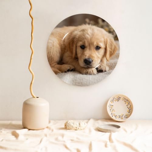 10 Inch Personalized Decorative Ceramic Plate with Stand - Custom Image & Text Birthday Gift