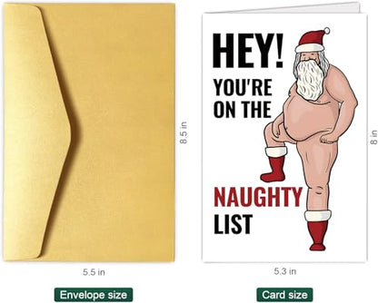 Funny Naughty Santa Christmas Card for Him & Her - NT