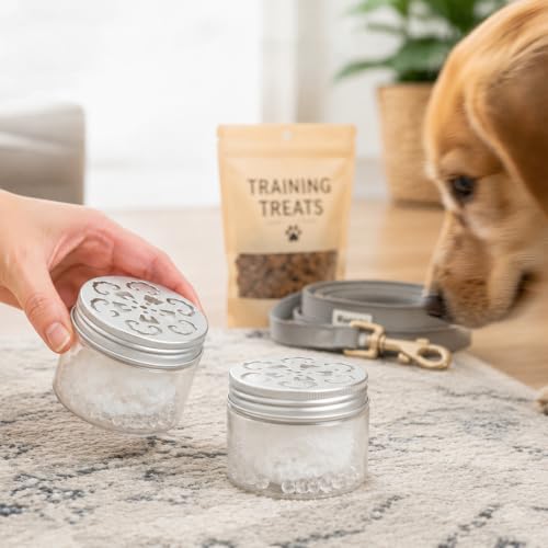 6 Pack 150ml Clear Refillable Storage Jars with Aluminum Lids for Aromatherapy & DIY Projects