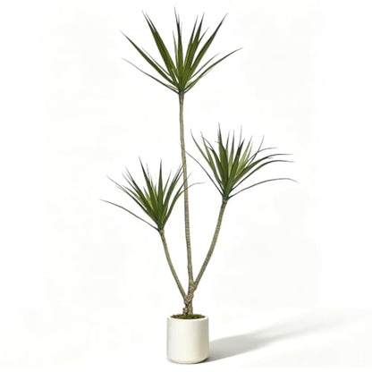 4ft Dracaena Marginata Artificial Tree with 3-Heads - Faux Indoor Plant, Variation: 3ft 11in