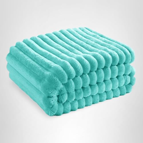 Bedsure GentleSoft Blue Twin XL Blanket for Bed - Cozy Soft Blankets for Women, Cute Small Fleece Throws for Girls, Birthday Gifts for Women Decor Gifts for Mom, Blue Fog, 66x90 Inches