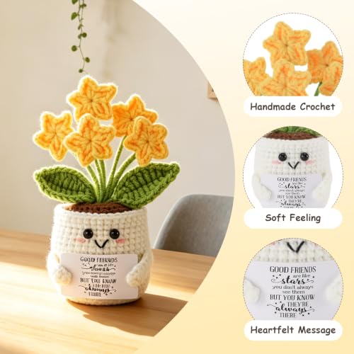 Bestie Crochet Star Flower Pot - Friendship Gift for Women