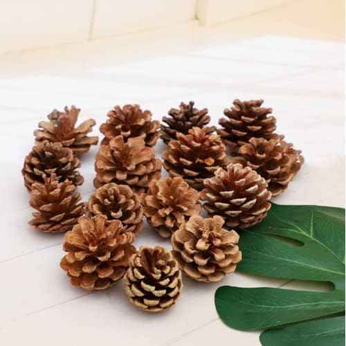 Natural Bulk Pine Cones,Christmas Tree Fall Ornaments,Christmas Rustic Pinecones for Home Party Decorations-18PCS