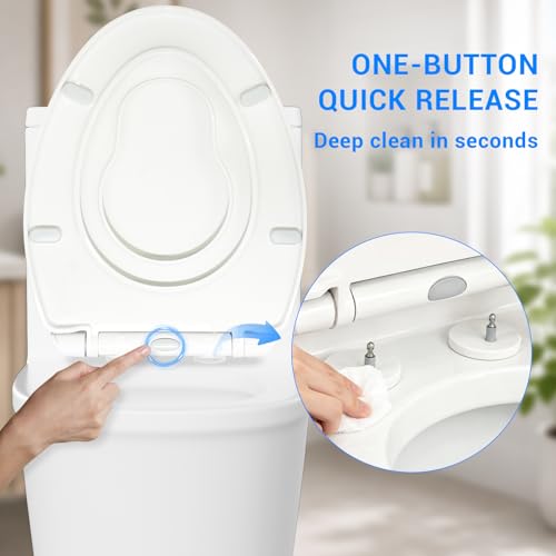 Elongated Toilet Seat with Built-In Toddler Seat, Soft Close, 18.5 Inch - Variation of THIS listing