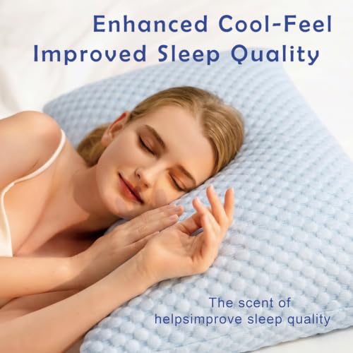 Adjustable Shredded Memory Foam Pillow with Cooling Cover - Bean Blue, Standard, 1