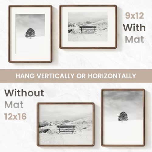 Rounded Walnut Photo Frame 12x16 Inches - 2 Pack, Solid Hardwood with Anti-Scratch Glass