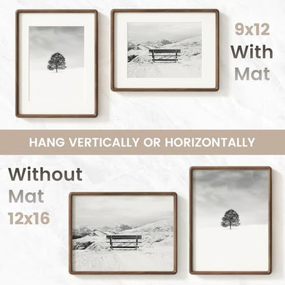 Rounded Walnut Photo Frame 12x16 Inches - 2 Pack, Solid Hardwood with Anti-Scratch Glass