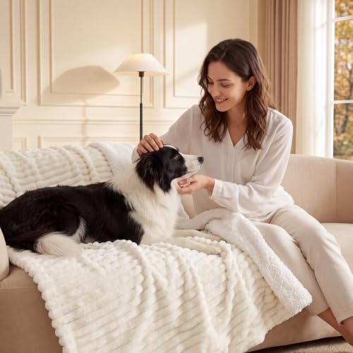 Sherpa Throw Blanket - Cream, 50x60 Inches, Double-Sided Softness & Warmth, Cozy Couch & Bed Accessory