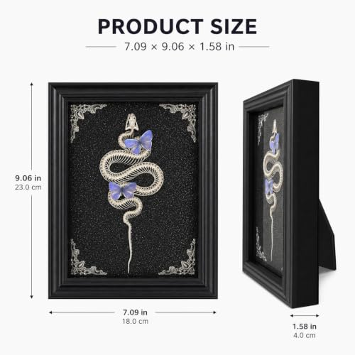 Gothic Handmade Butterfly & Snake Bone Shadow Box - Style B