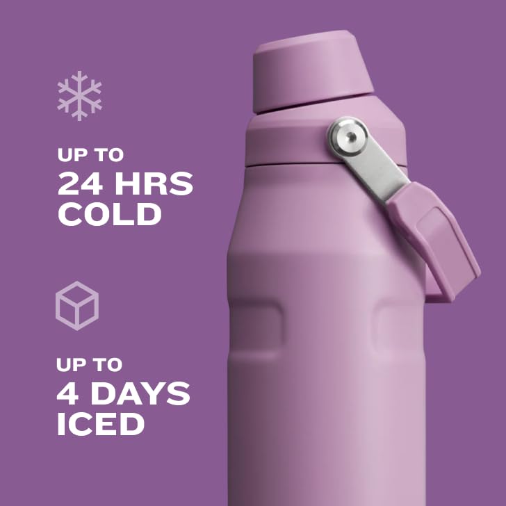 Stanley IceFlow Fast Flow Water Bottle 16 oz | Angled Spout Lid | Lightweight and Leakproof for Travel and Sports | Insulated Stainless Steel | BPA-Free |Tigerlily