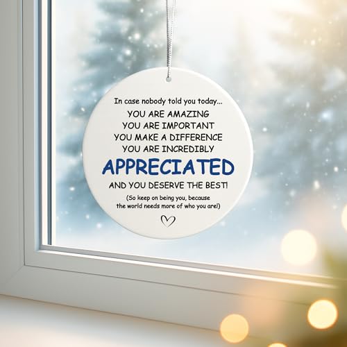 You Are Appreciated Nurse Teacher Retirement Ornament - Holiday Gift for Coworkers