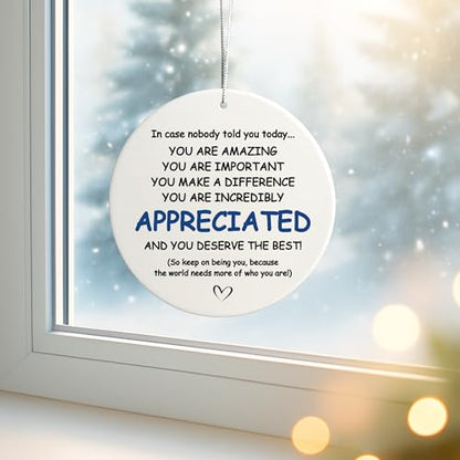 You Are Appreciated Nurse Teacher Retirement Ornament - Holiday Gift for Coworkers