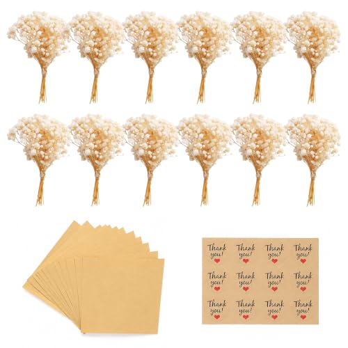 Mini Dried Baby’s Breath Flower Favors Kit with Wraps & Stickers - 12 Sets