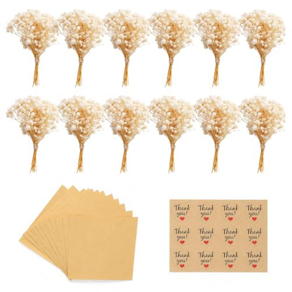 Mini Dried Baby’s Breath Flower Favors Kit with Wraps & Stickers - 12 Sets