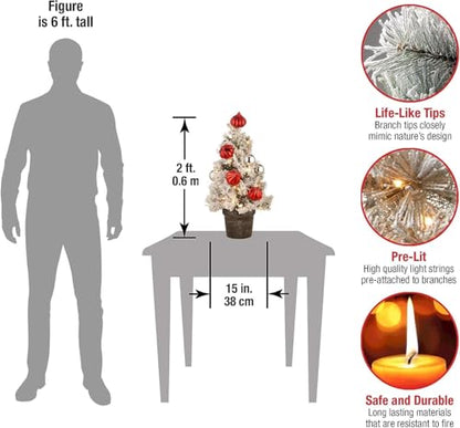 Pre-Lit Artificial Christmas Tree 24 Inches Snowy Bristle Pine with White LED Lights