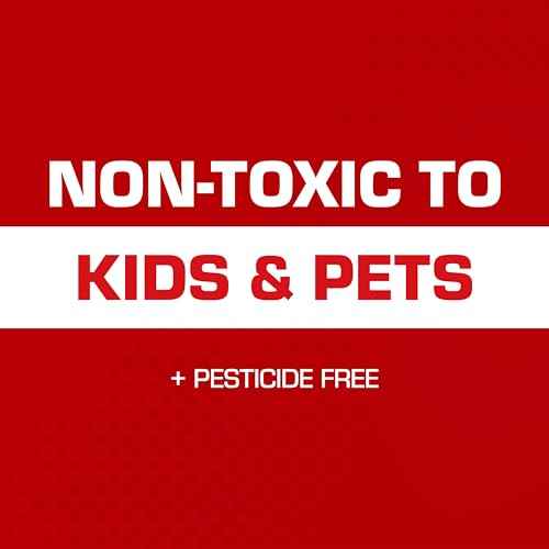 Tomcat Glue Traps Mouse Size with Eugenol for Enhanced Stickiness for Mice, Cockroaches, and Spiders, 6 Traps