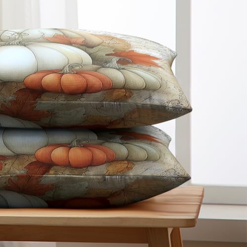 Fall Outdoor Lumbar Pillow Covers 12x20 Set of 2 Orange White Pumpkin Maple Leaves Vintage Autumn Thanksgiving Cushion Case