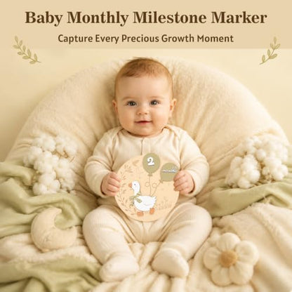 Baby Milestone Sign 3D White Goose Wooden Discs 1-12 Months with Interchangeable Numbers - Green Goose Variation