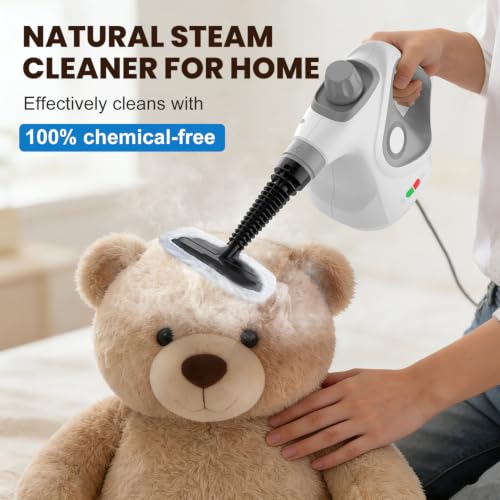Handheld Steam Cleaner for Home with Gray Cap & Gray Handle, 15 Accessories