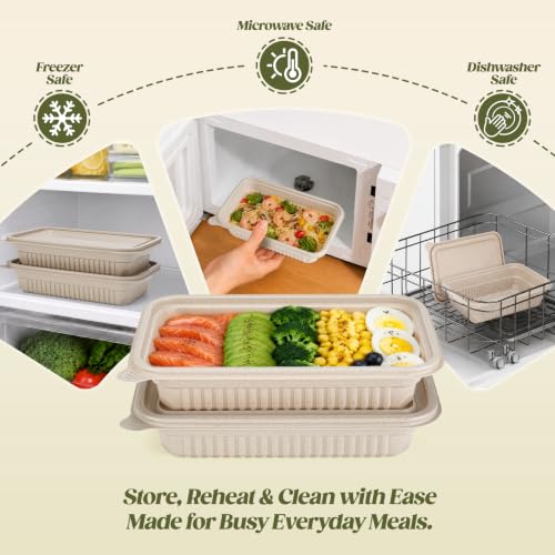 Glotoch 50 Pack 24oz Disposable Meal Prep Containers with Lids - Plant-Based, Leakproof, Microwave & Freezer Safe