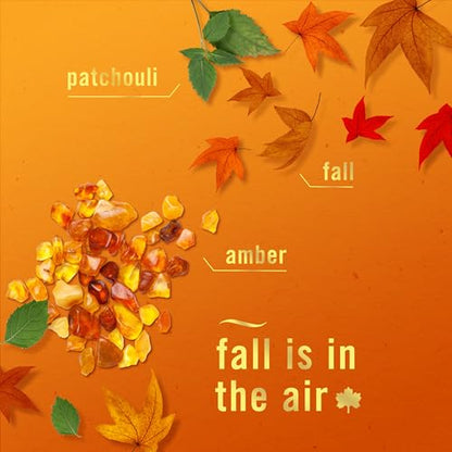 Febreze Odor-Fighting Plug-In Air Freshener Refill - Crisp Fall Breeze Scent, 4 Refills