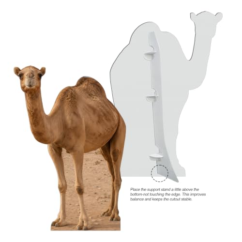 Desert Camel Cardboard Cutout Standee - 2ft Wildlife Party Decor