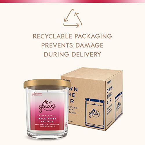 Glade Candle Jar, Large Candle Infused with Essential Oils, Air Freshener for Home Decor, Wild Rose Petals, 16oz