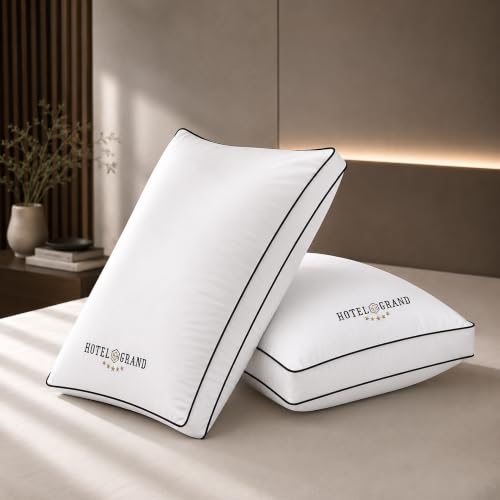 Queen Size Hotel Support Gusset Pillow Set of 2 White - Medium Firm
