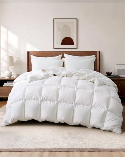 Queen All Season Goose Feather Down Fiber Comforter - White - Dreamhood