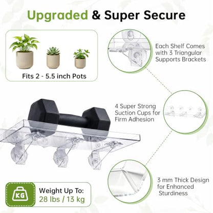 3 Pack Acrylic Window Plant Shelves with Suction Cups - Heavy Duty Indoor Garden Racks