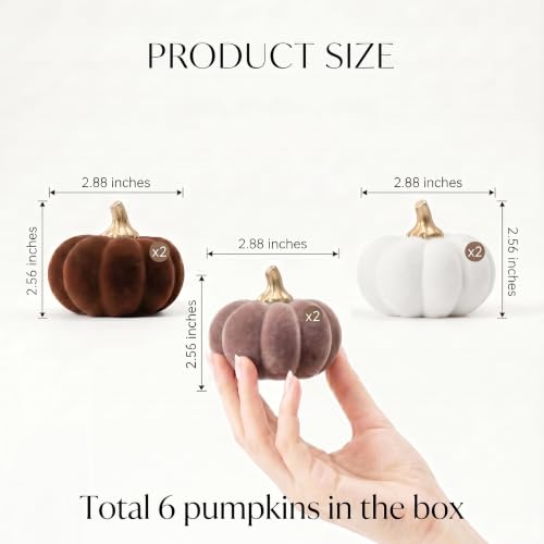 6Pcs Fall Pumpkin Decor Set - Small Velvet Flocked Resin Figurines, White & Brown