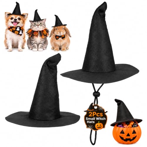 Mini Witch Hats 2-Pack - Black 6.3 Inch Pet & Decor Halloween Accessories