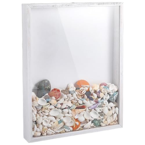 Seashell Display Shadow Box with Wooden Frame - Top Loading 13.8x10.9 Inch