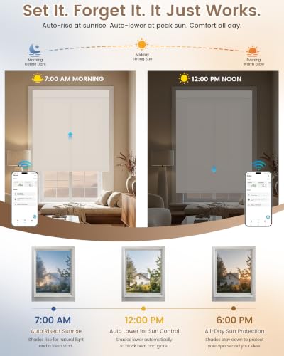 Beige Motorized Blinds with Remote - Solar Shades for Windows