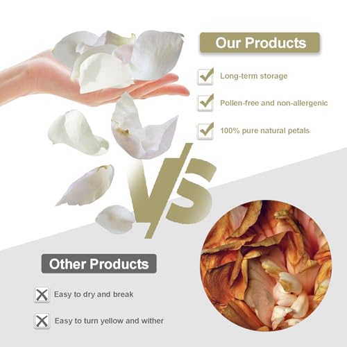White Dried Rose Petals for Weddings - Biodegradable & Natural - 4 Pack (100g each) - Romantic Table Decor & Flower Girl