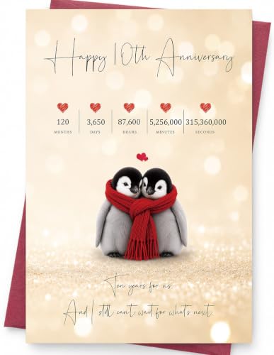 Funny 10th Anniversary Card - Sweet Wedding Gift for Couple - Isenwill