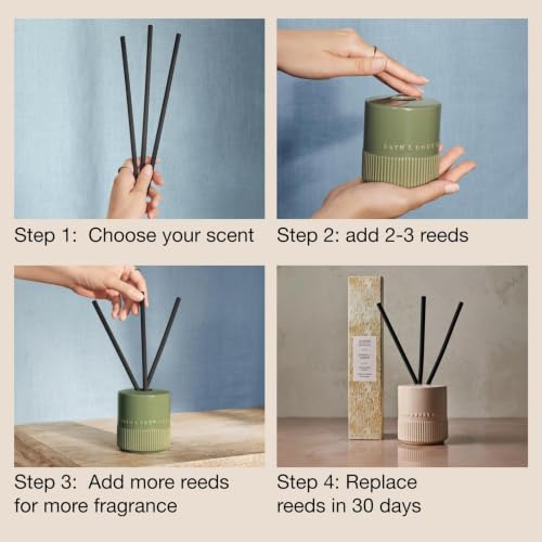 Liquidless Reed Diffuser & Vessel - Santal & Amber Fragrance - Home Decor